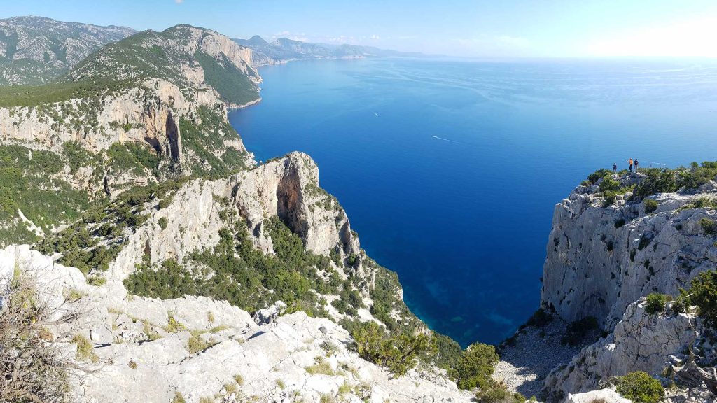 Selvaggio-Blu-lattone