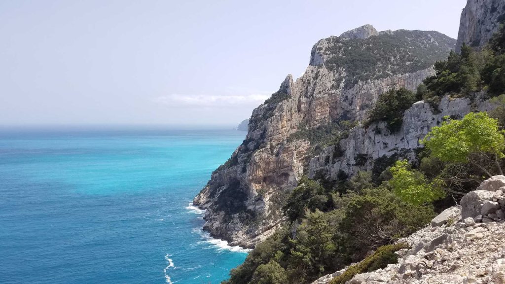 Selvaggio-Blu-mudaloru-2