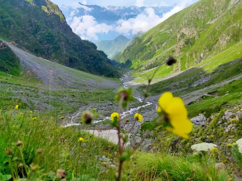 WhatsApp Image 2026-04-14 at 04.49.32 (1)