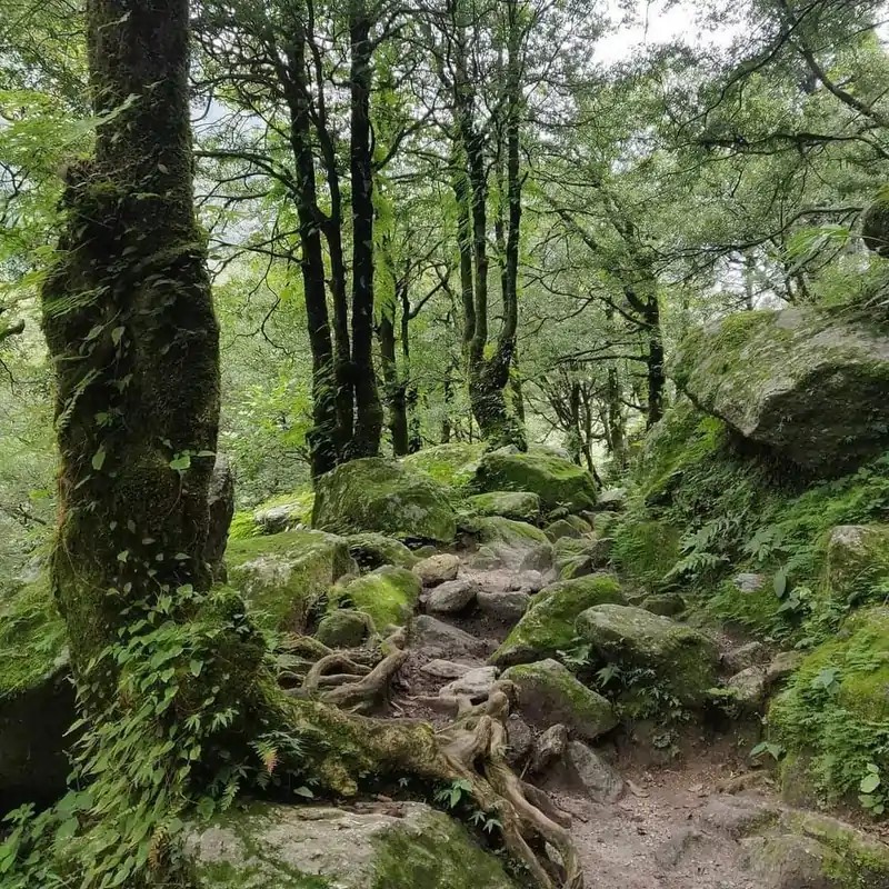 WhatsApp Image 2026-04-14 at 04.49.33