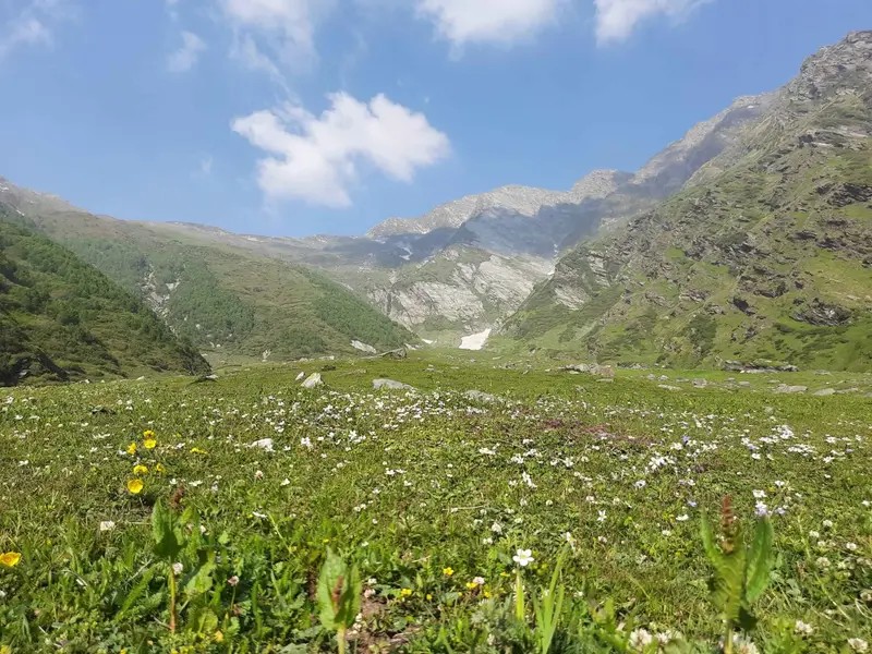 WhatsApp Image 2026-04-14 at 04.49.35 (1)